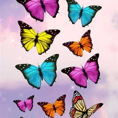 💜آنلاینکده 🦋anlainkadeh